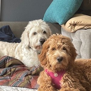 Meet your Posher, Marney